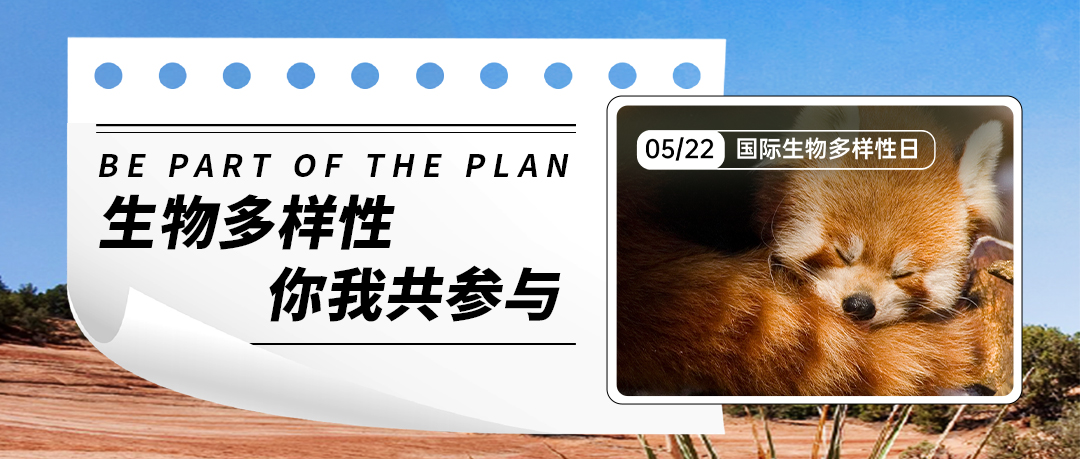 ��ʱ������(�й���)�������ǲ�!